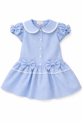 Caramelo School Dress 012116
