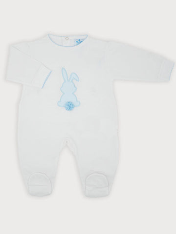 Blue Sardon Babygrow 329