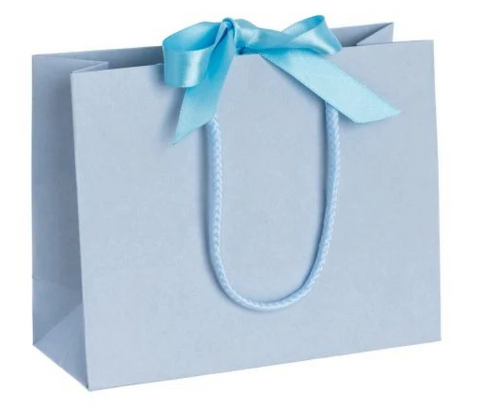 Blue Gift Bag 101
