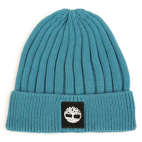 Blue Timberland Hat T21387