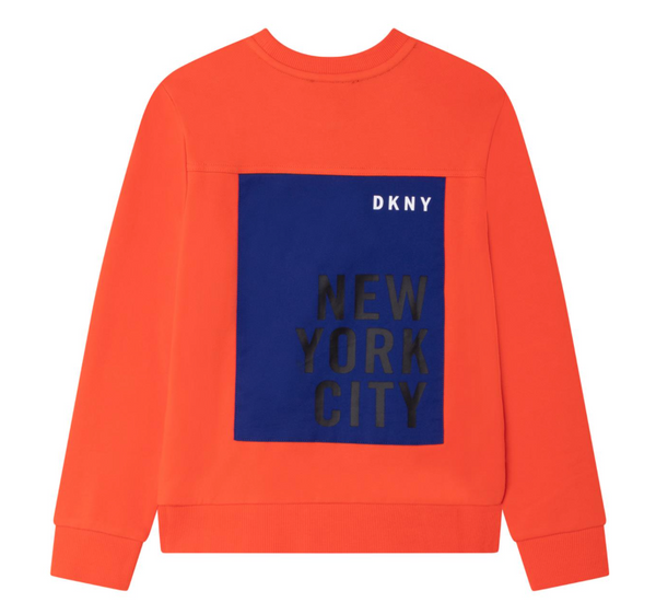 DKNY Boys Sweater D25D85